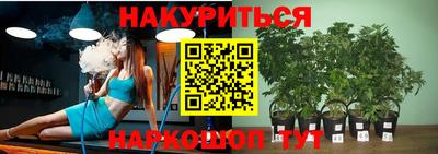 прущие грибы Тула