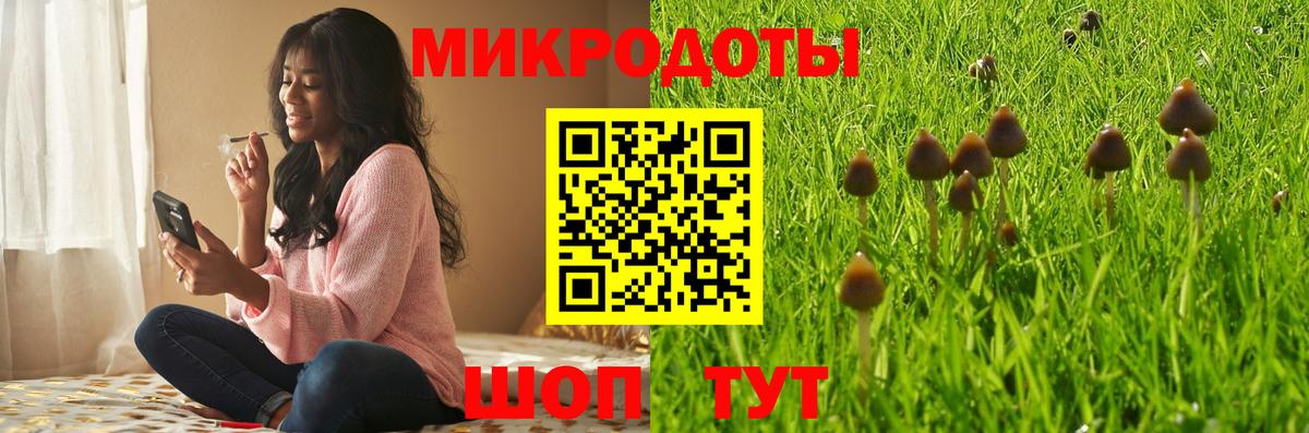 Псилоцибиновые грибы мухоморы Саранск
