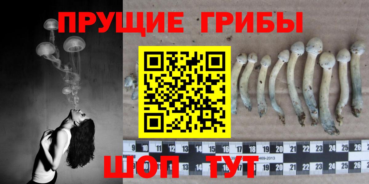 Галлюциногенные грибы прущие грибы  Вход с VPN  Саранск 